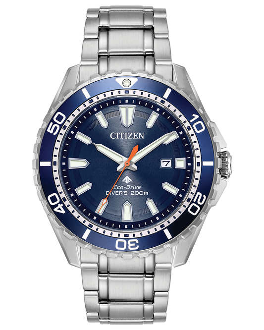 Promaster Diver BN0191-55L