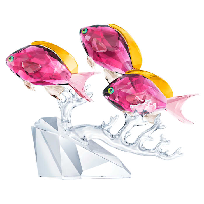 SWAROVSKI Anthias Fish Trio Clear 5428652